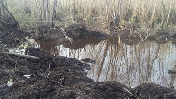 El pantano del río Paraná donde fueron hallados los restos del avión. El pantano del río Paraná donde fueron hallados los restos del avión.
