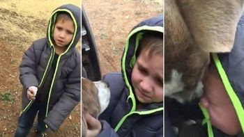 video: un nene se reencuentra con su perro y emociona a todos video: un nene se reencuentra con su perro y emociona a todos
