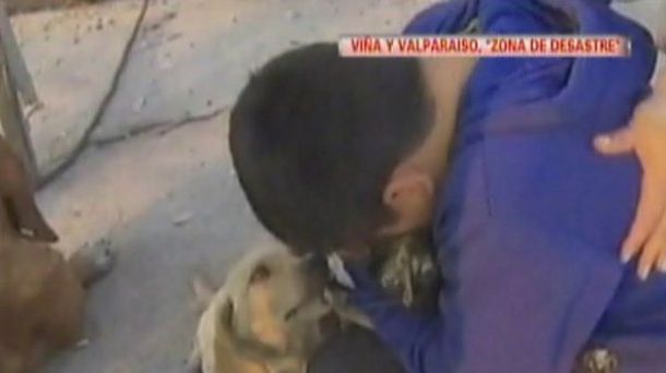 El emotivo encuentro de un nene con su mascota tras el incendio en Valparaíso