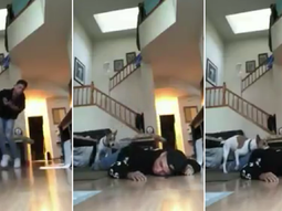 Simuló sufrir un infarto y la reacción de su perro no fue la esperada