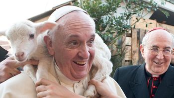otro gesto del papa francisco: se saco una foto con un corderito en los hombros otro gesto del papa francisco: se saco una foto con un corderito en los hombros