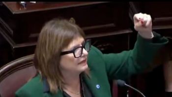 El oficialismo busca retomar en el Senado el debate sobre la eliminación de las PASO
