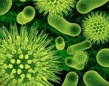 Detecta superbacterias en 15 minutos