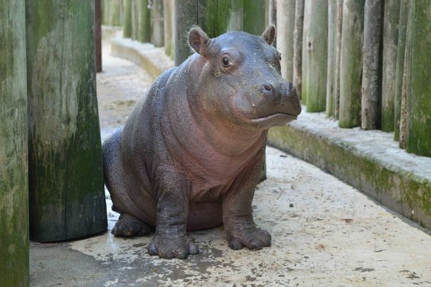 Conocé a la nueva integrante de Mundo Marino