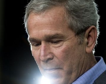 Bush