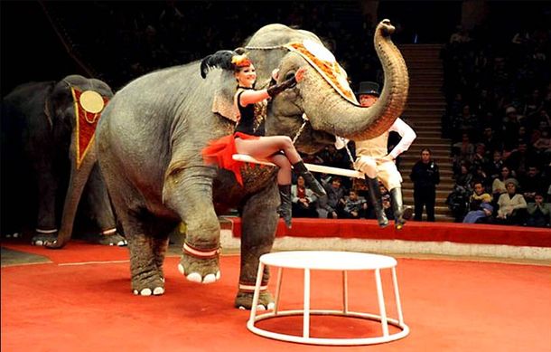 Jenny y Magda palearon el frío con vodka