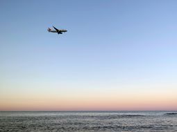 American Airlines suspende los vuelos directos entre Uruguay y Estados Unidos. American Airlines suspende los vuelos directos entre Uruguay y Estados Unidos.