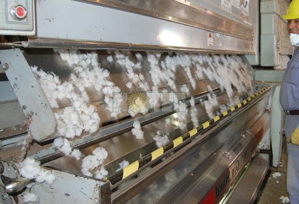 Máquina de algodón