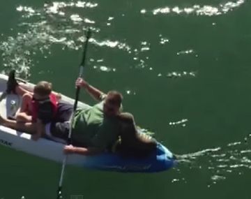 Paseaban con su canoa y un tierno lobo marino bebé se sumó al recreo familiar