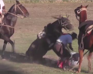 Jinete se salva de milagro