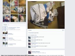 publican en facebook las fotos de lo que se llevaron en los saqueos publican en facebook las fotos de lo que se llevaron en los saqueos