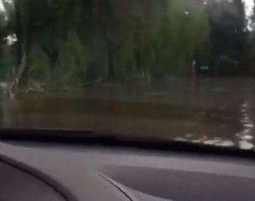 Malena se nos está quedando el auto... rezá