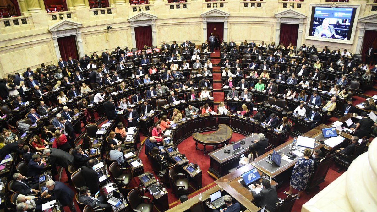 Diputados Dio Media Sanción Al Acuerdo Con El Fmi 7830