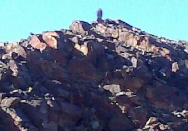Difundieron la imagen de una supuesta virgen en un cerro de San Juan