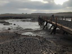 El volumen de agua en la represa de Paso Severino continúa cayendo día a día. El volumen de agua en la represa de Paso Severino continúa cayendo día a día.