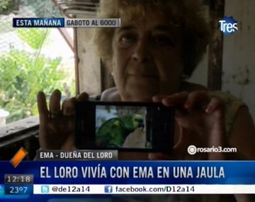 Le robaron el loro y está desesperada