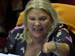 Elisa&nbsp; Carrió