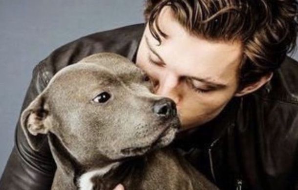 Tom Holland llora su pérdida más dolorosa mientras Zendaya está de gira