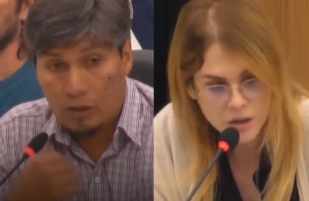 La contundente respuesta de un diputado de izquierda a Lilia Lemoine: Les molesta que...