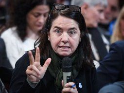 senadora del pro: no creo que los ninos argentinos tengan derecho al garrahan senadora del pro: no creo que los ninos argentinos tengan derecho al garrahan