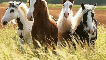 Imágen de archivo Imágen de archivo