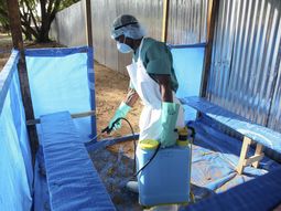 por el brote de ebola aumentaron los precios en las cosechas de africa por el brote de ebola aumentaron los precios en las cosechas de africa