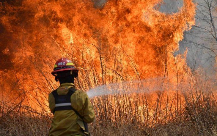 Corrientes: Valdés declaró el estado de desastre agropecuario por los incendios rurales