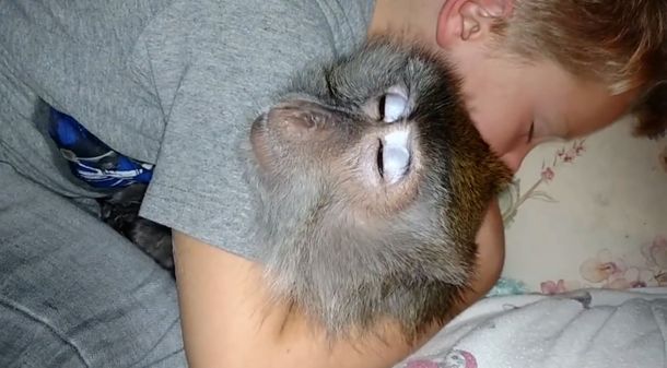 Un nene y un mono duermen plácidamente