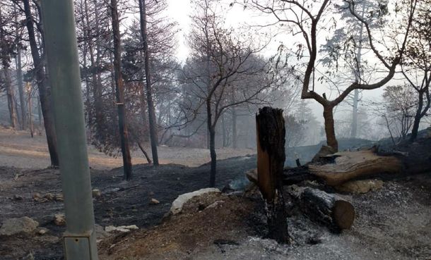 Incendios forestales en C&oacute;rdoba