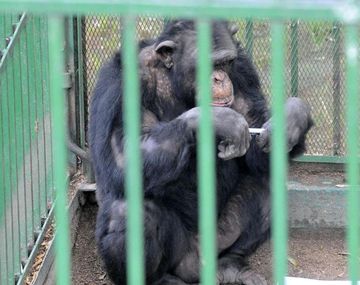 Gentileza La Voz del Interior.
