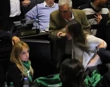 El video del escándalo por el twit de María José Lubertino