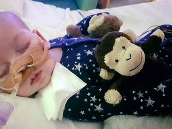 Charlie cumplió ocho meses pero su estado de salud era frágil Charlie cumplió ocho meses pero su estado de salud era frágil