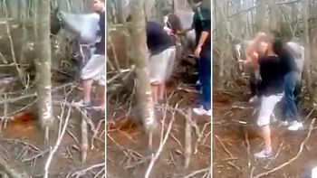 Matan a un caballo a mazazos. Matan a un caballo a mazazos.