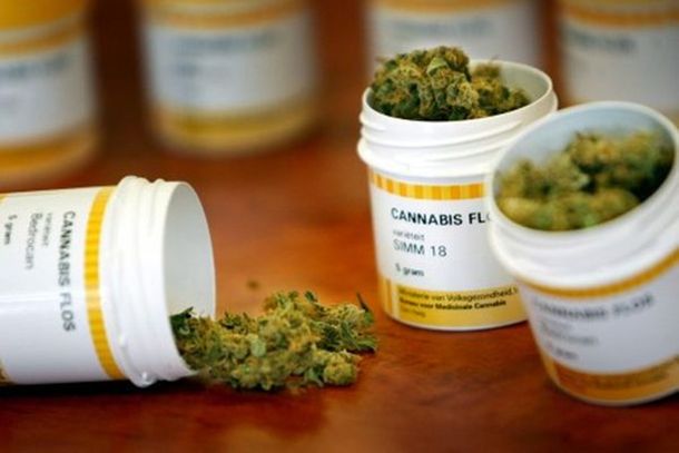 Cada vez son más los amparos judiciales presentados para poder utilizar cannabis con fines medicinales