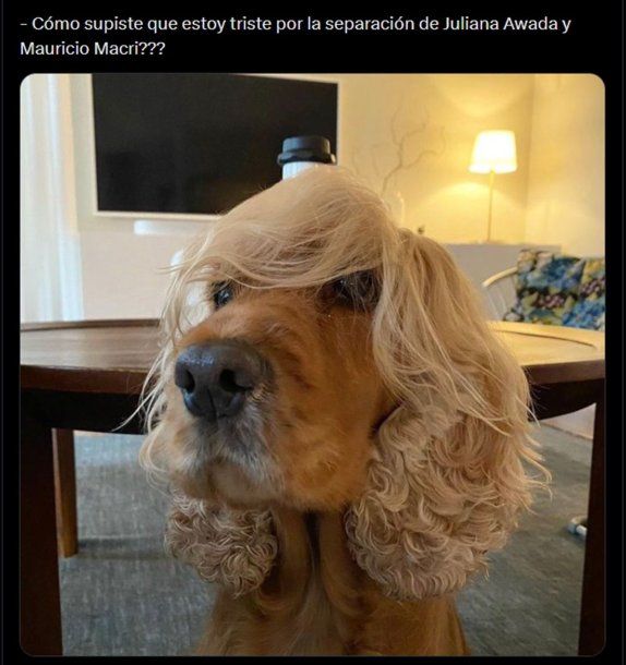Sin piedad: las redes reaccionaron a la separación de Mauricio Macri y Juliana Awada, y explotaron los memes