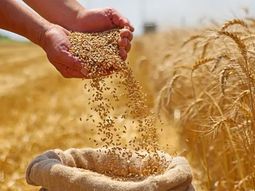 preocupante: la guerra en medio oriente dispara los precios de los alimentos a nivel global preocupante: la guerra en medio oriente dispara los precios de los alimentos a nivel global