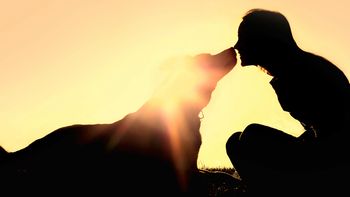 los riesgos de besar a tu mascota los riesgos de besar a tu mascota