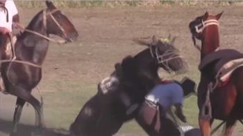 Jinete se salva de milagro Jinete se salva de milagro