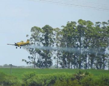 Un avión fumigó cerca de una casa