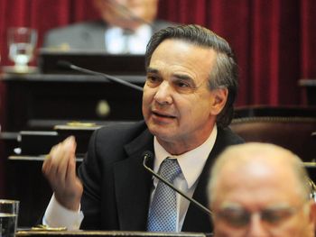 Pichetto lanzó su candidatura a gobernador