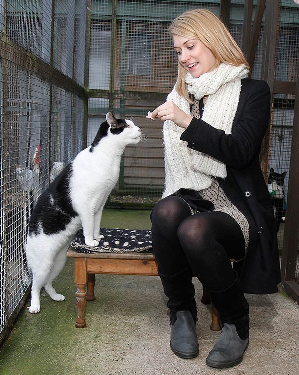 ¿Es el gato más grande del mundo?