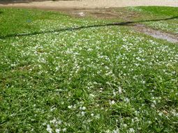 mar del plata, entre una fuerte caida de granizo y el sol mar del plata, entre una fuerte caida de granizo y el sol