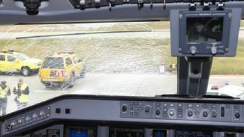 Así quedó la cabina del avión tras chocar con el ave Así quedó la cabina del avión tras chocar con el ave