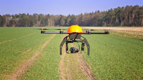 Brasil, y una ingeniosa idea para erradicar la esclavitud