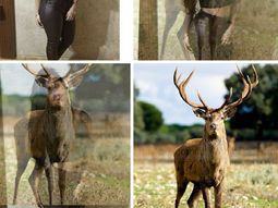 Descubrió que su ex novio la engañaba y su reacción se viralizó