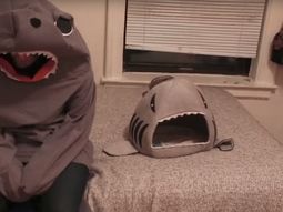 Un gato se asusta cuando ve a su dueño disfrazado como su juguete favorito