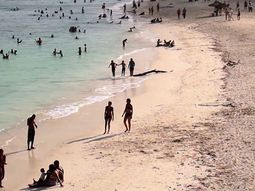 Un terremoto de 7,7 grados sacudió el Caribe entre Cuba y Jamaica