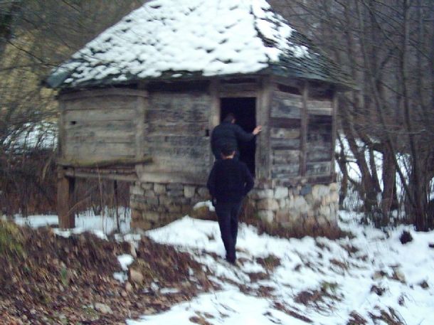 Se disparan las ventas de ajo por el terror a un vampiro
