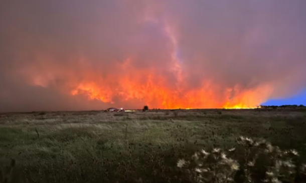 Impactantes imágenes del incendio en la Reserva Natural de Punta Lara