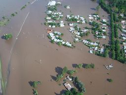 Areco_dyn